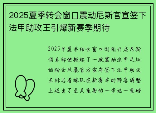 2025夏季转会窗口震动尼斯官宣签下法甲助攻王引爆新赛季期待